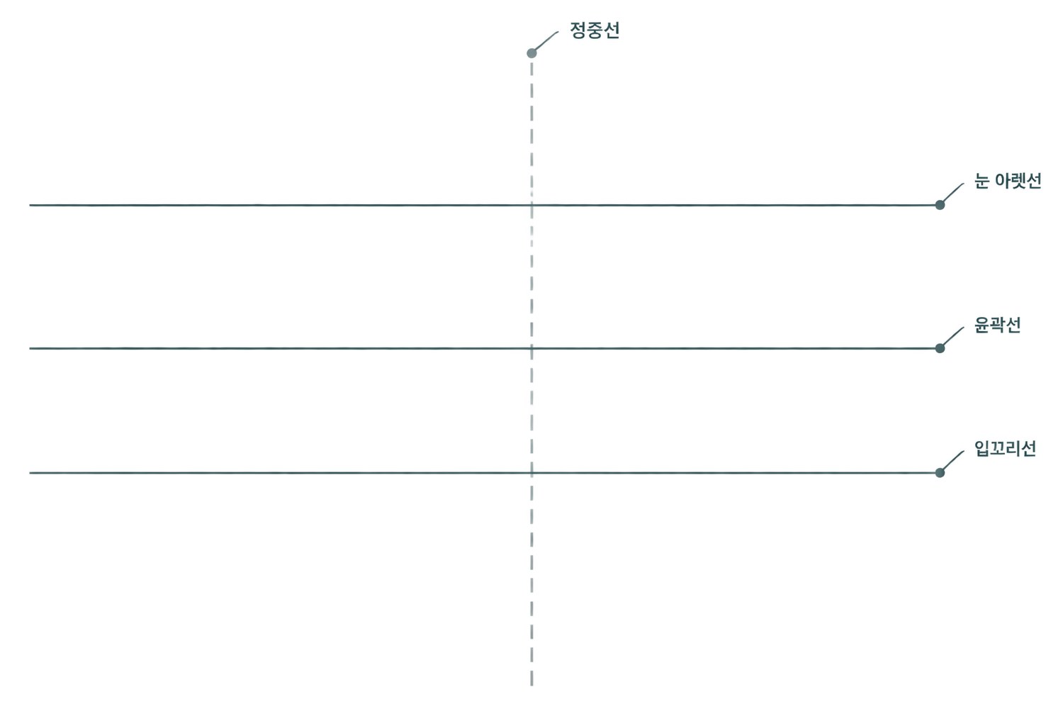 전후 사진 위에 얹는 눈 아랫선·윤곽선·입꼬리선 세 개의 수평 기준선과 얼굴 정중선을 표시한 오버레이 도해