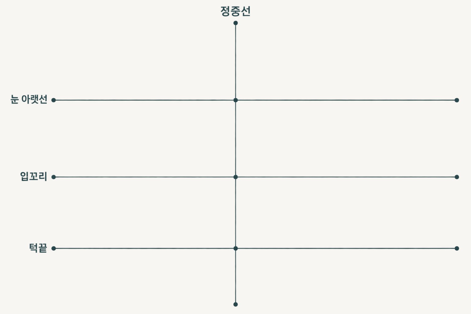 전후 사진 위에 얹는 눈 아랫선·입꼬리·턱끝 수평 기준선 3개와 세로 정중선을 표시한 오버레이 도해