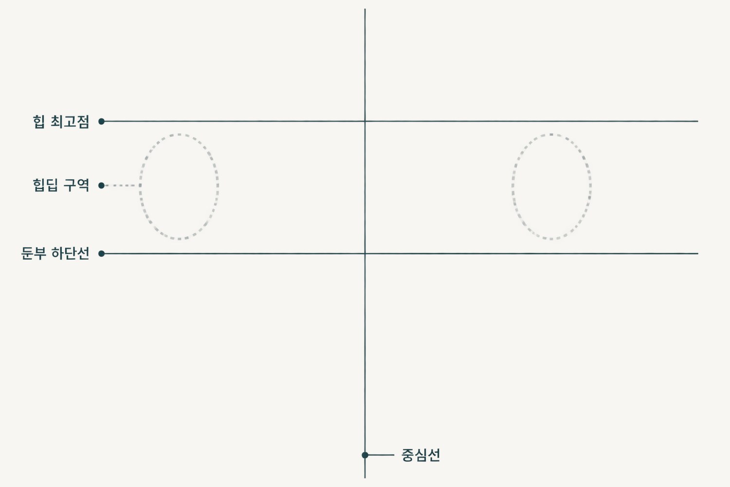 전후 사진 위에 얹는 엉덩이 정점·둔부 하단선 수평 기준선과 중심선, 힙딥 구역을 점선으로 표시한 오버레이 도해