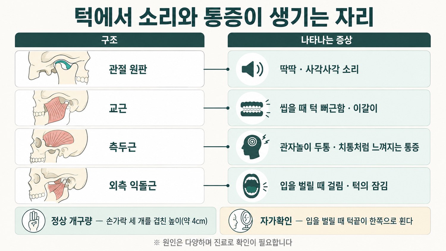 관절 원판·교근·측두근·외측 익돌근별로 나타나는 증상을 두 열로 정리하고 정상 개구량 약 4cm 기준과 자가확인 항목을 함께 표시한 해부 도해