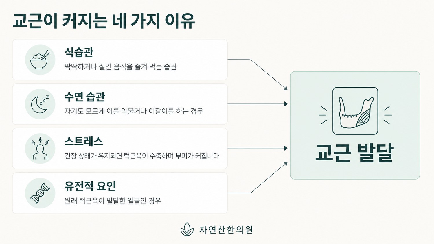 식습관, 수면 습관, 스트레스, 유전적 요인 네 가지가 교근 발달로 이어지는 도해