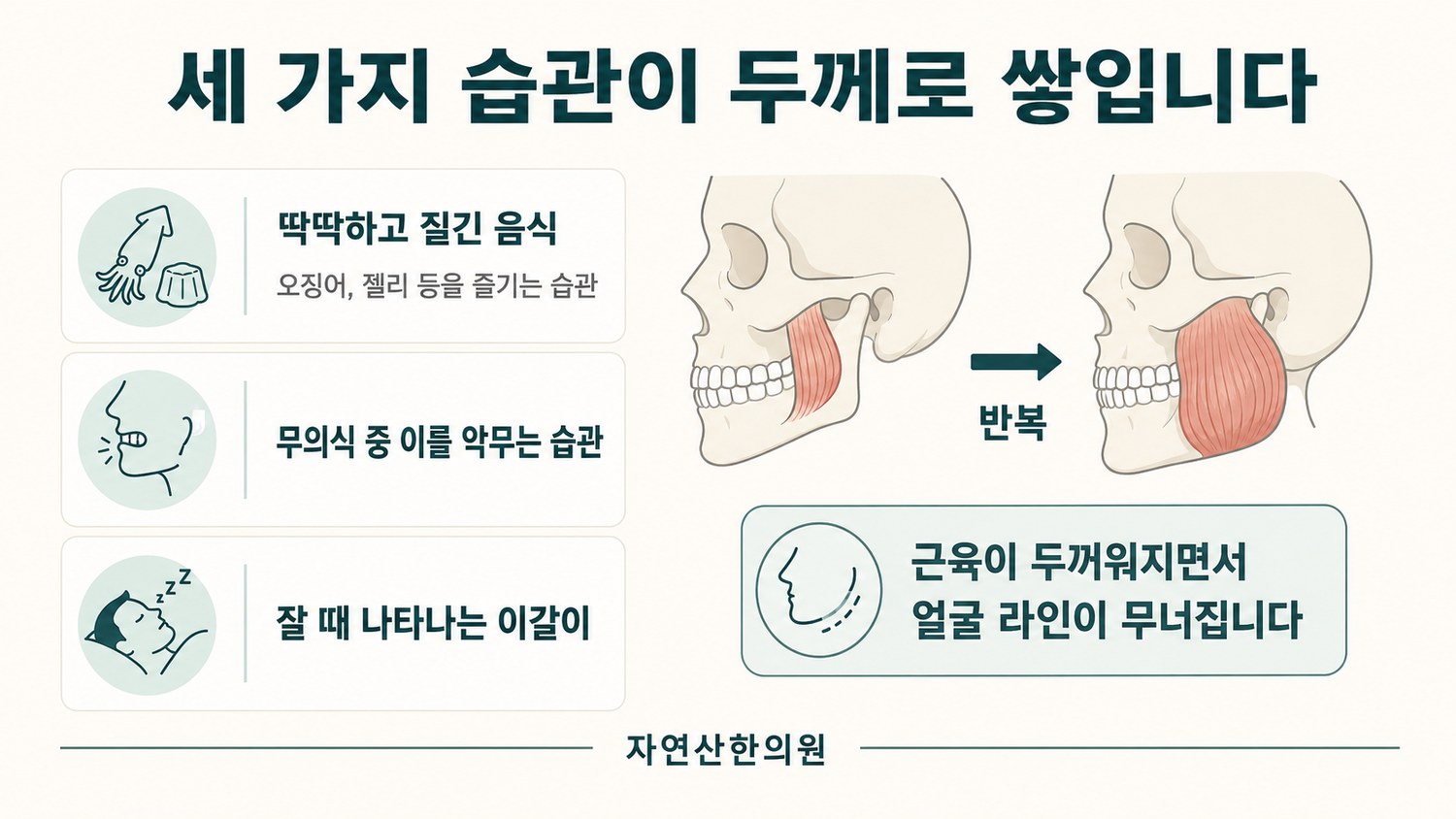 질긴 음식, 이 악물기, 이갈이 세 가지 습관이 저작근 두께 증가로 이어지는 도해
