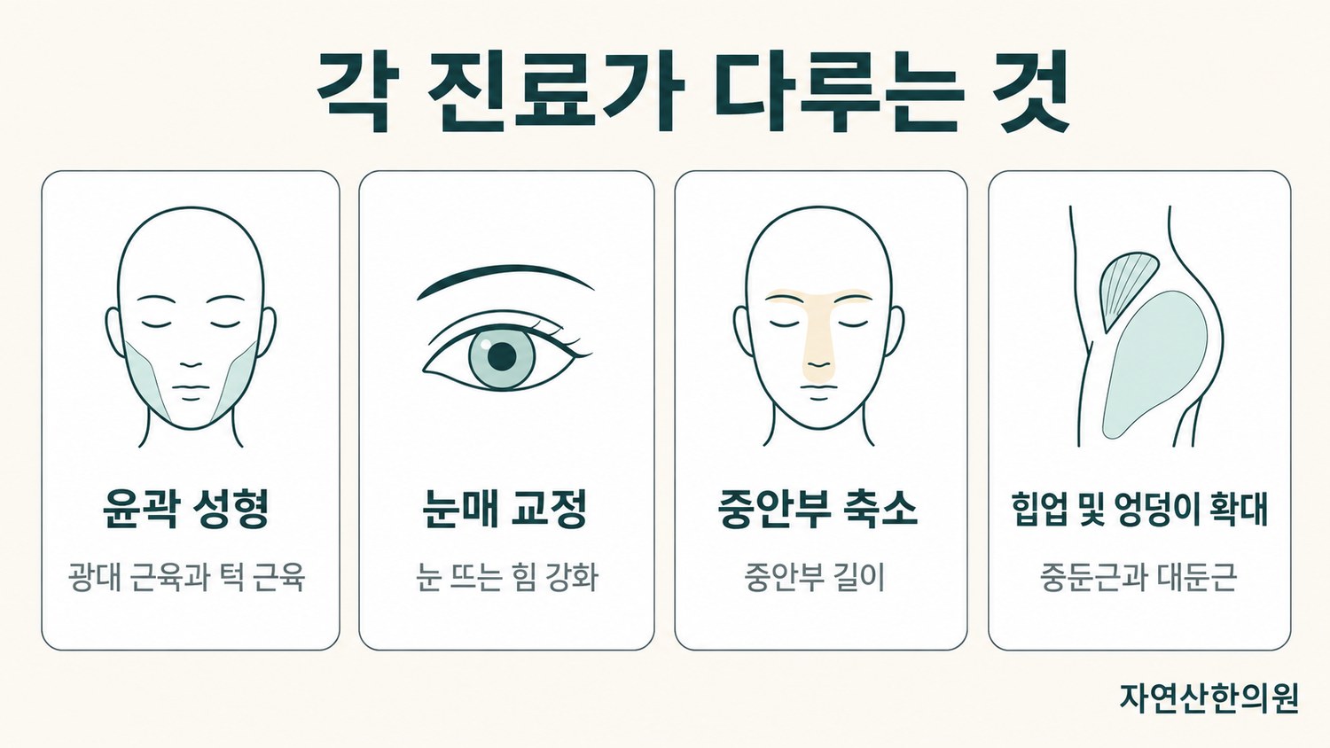 윤곽 성형·눈매 교정·중안부 축소·힙업 및 엉덩이 확대 네 가지 진료를 카드 형태로 나눈 분류 도해