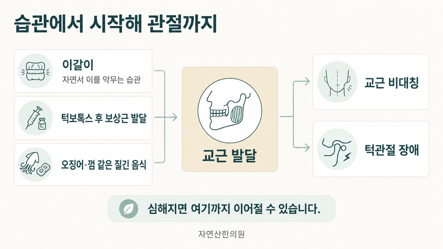 이갈이·이악물기·보상근 발달·질긴 음식이 교근 발달로 이어지고 교근 비대칭과 턱관절 장애로 진행되는 도해
