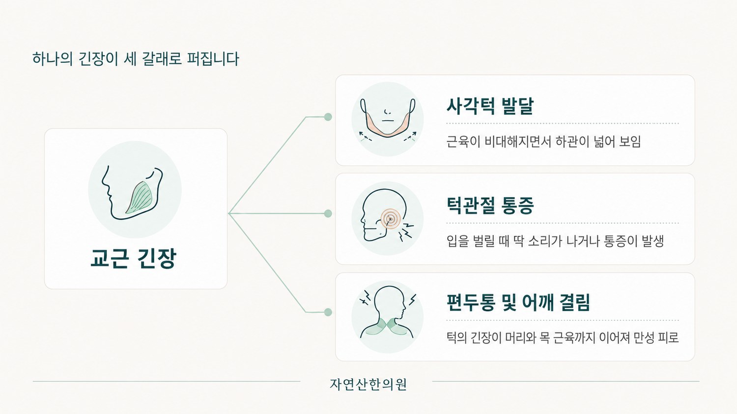 교근 긴장이 사각턱 발달, 턱관절 통증, 편두통과 어깨 결림 세 가지로 갈라지는 도해