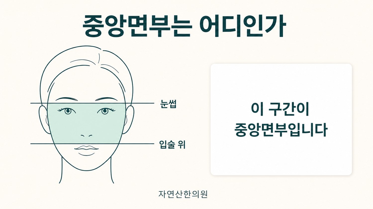 눈썹부터 입술 위까지의 중앙면부 길이를 얼굴 전체 길이와 비교해 확인하는 자가 측정 가이드 도해