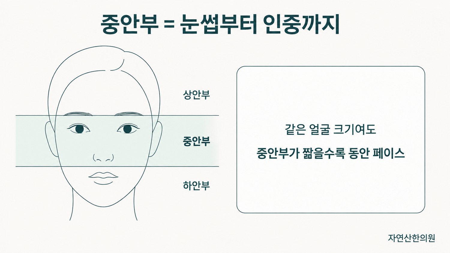 얼굴을 상안부·중안부·하안부로 나눈 도해에서 눈썹부터 인중까지를 중안부로 표시한 그림