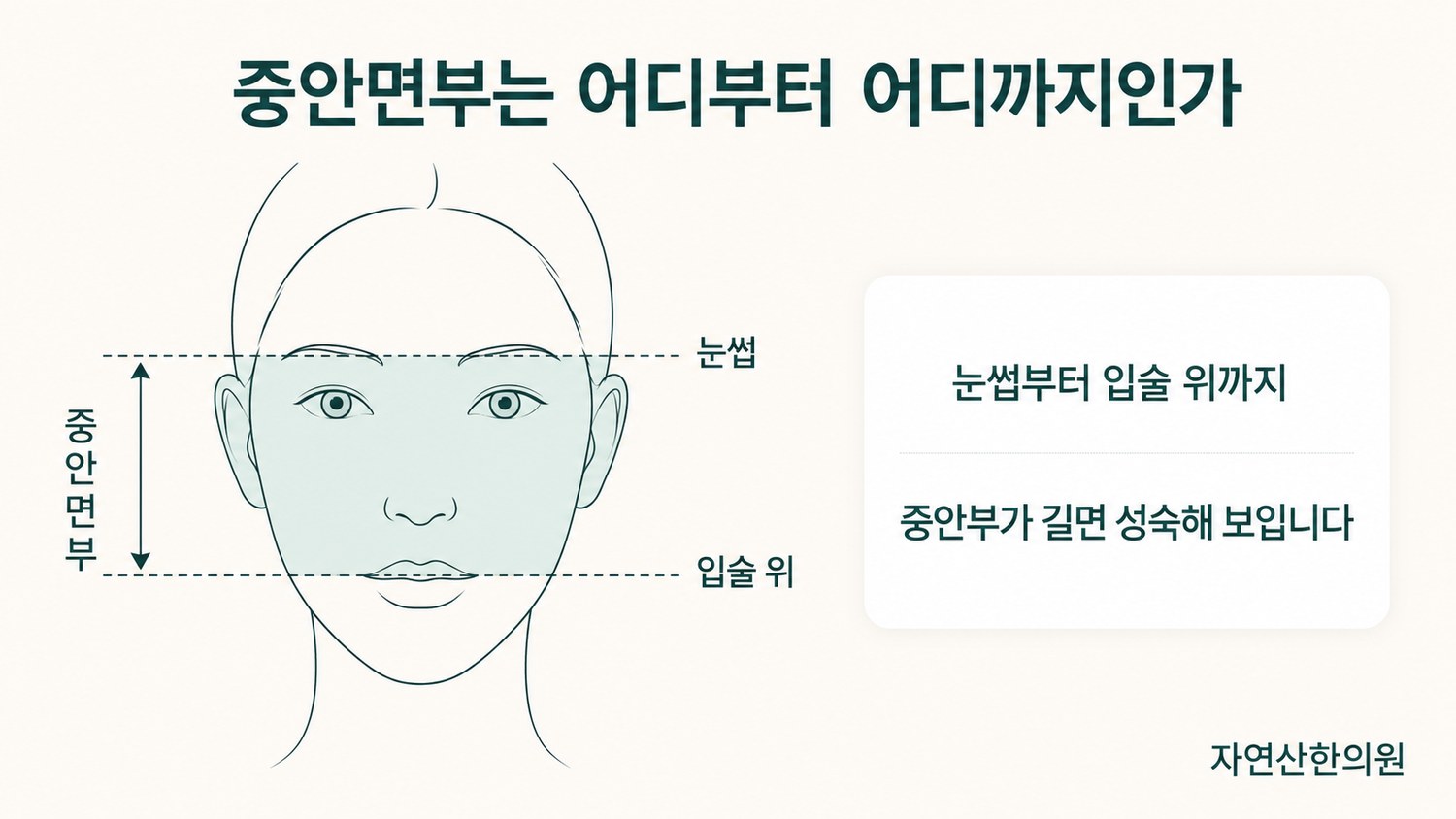얼굴 정면 그림 위에 눈썹부터 입술 위까지를 중안면부로 표시한 범위 도해