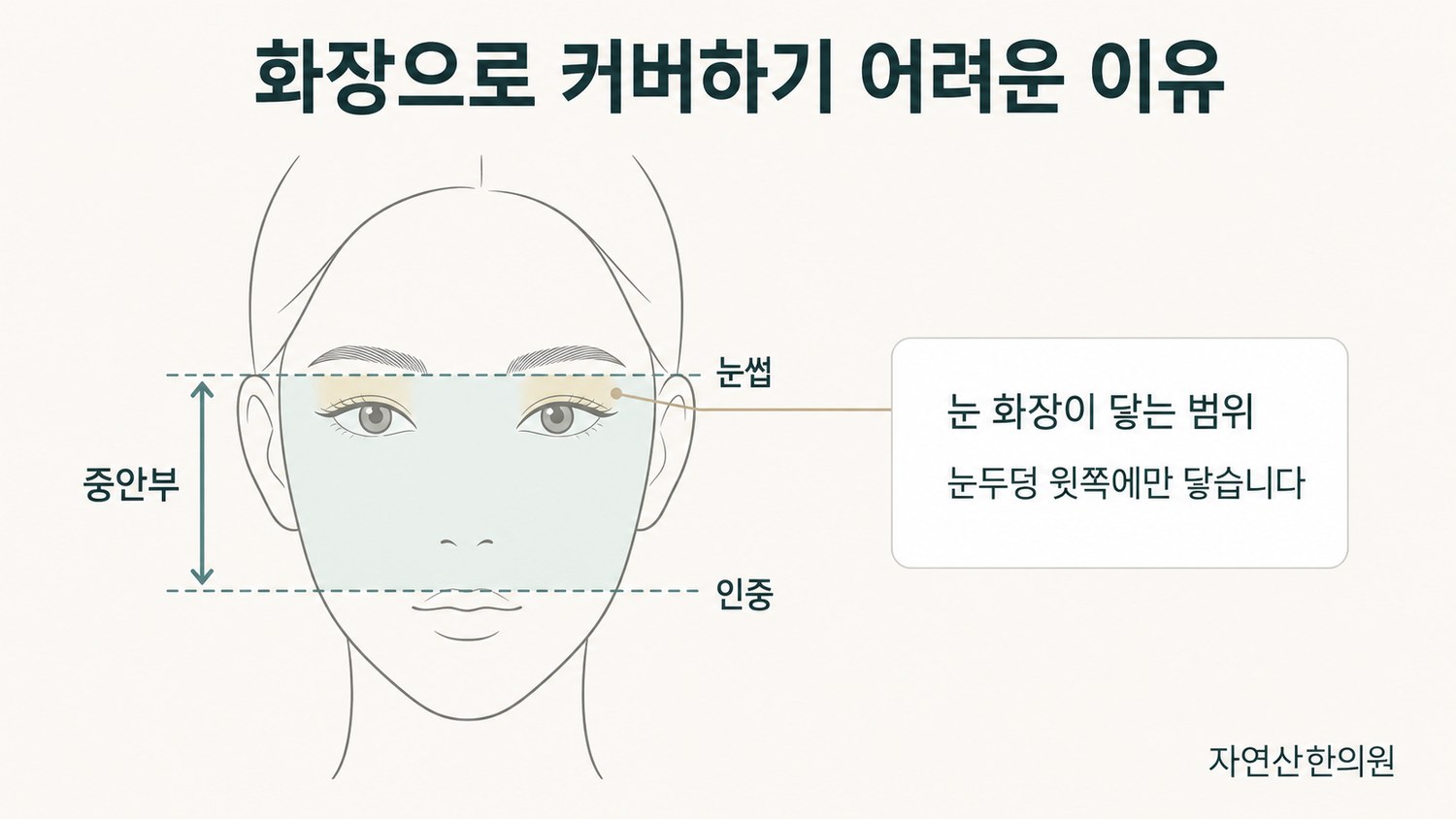 눈썹부터 인중까지를 중안부로 표시하고 눈 화장이 닿는 눈두덩 윗쪽 영역을 함께 나타낸 도해