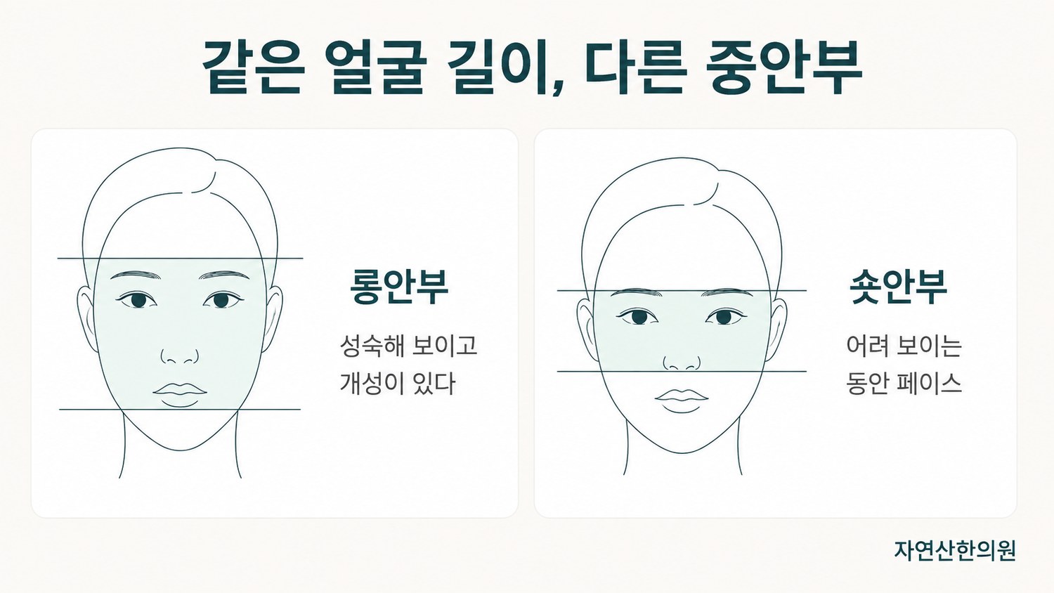 롱안부와 숏안부의 얼굴 비율을 나란히 비교한 도해