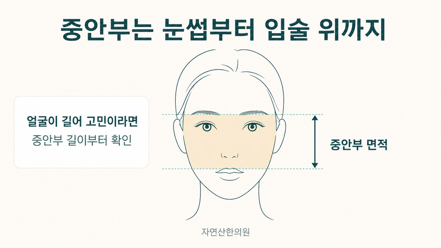 얼굴에서 눈썹부터 입술 위까지를 중안부로 표시하고 면적을 강조한 도해