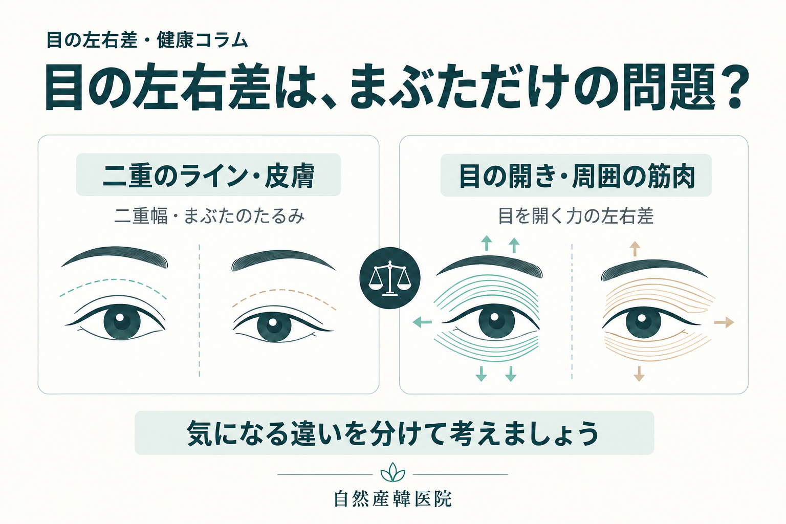 目の左右差は二重整形だけで整う？タイプ別の考え方と5回目の症例