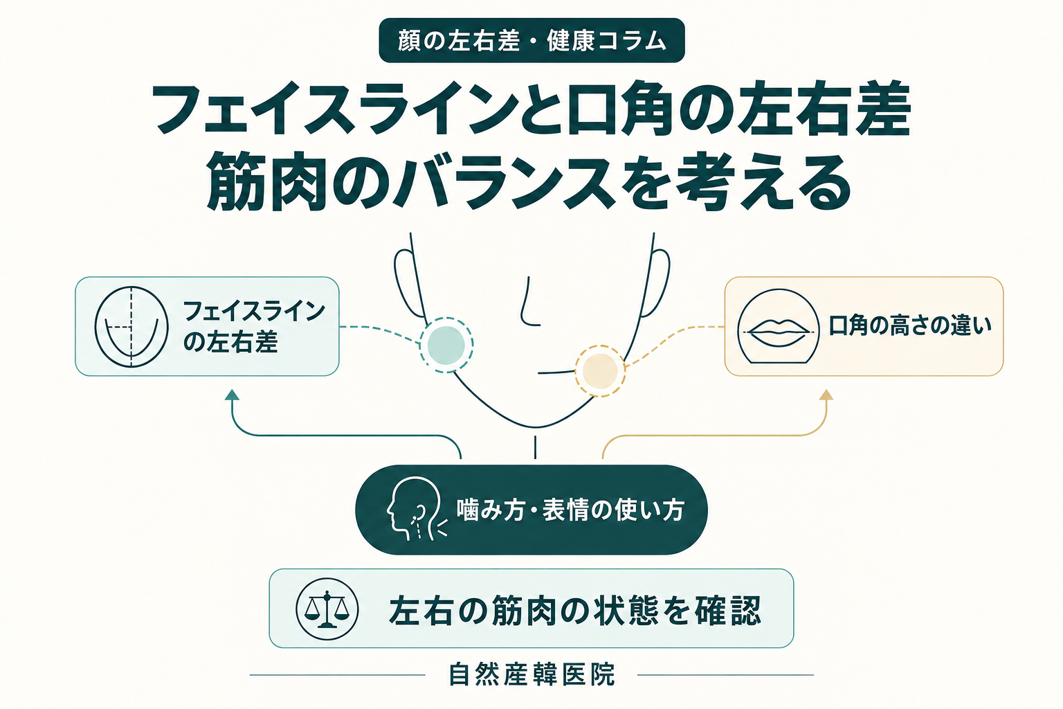 フェイスラインと口角の左右差を説明する図